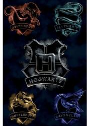 Pyramid Harry Potter: Hogwarts - poszter (PP2512503)