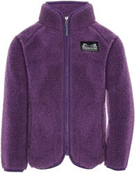 Didriksons Gibbs Kids Fullzip 2 Northen Purple Mărime copii: 140 / Culoare: violet (505577-I17-140)