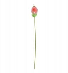 Bomm Anturium műgumi ág 56cm piros-zöld (anturium)
