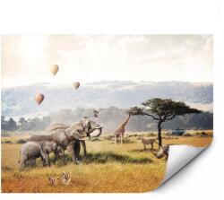 MPINK Öntapadós Safari fotótapéta elefántokkal és zsiráffal 150x105 cm (MP-FTAP_5_EST_1,5X1,05M-0059)