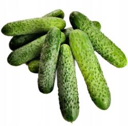  Uborka Talajos Uborka Lengyel Friss |ropogós |1 Kg Sigma Fresh