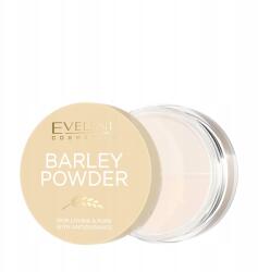 Eveline Cosmetics Barley Powder folyékony soft matte púder zsíros bőrre