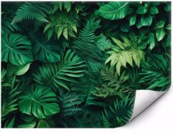 MPINK Öntapadós Trópusi fotótapéta Monstera és Páfrányok 400x280 cm (MP-FTAP_5_EST_4X2,8M-0148)