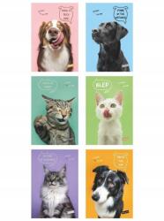 MARMAR Füzet A4/40K Kockás Pets (10DB) Mar Mar, Mar Mar (MM1211638884)
