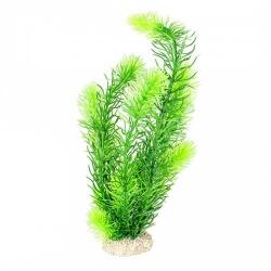 AQUA DELLA Műnövény HORNWORT 32cm zöld 1db