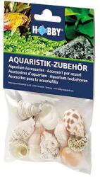 Hobby Aquaristik HOBBY Sea Shells Set M 10db - dekoráció akváriumba
