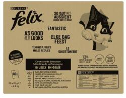 FELIX Fantastic Multipack 80x85g marha/csirke/kacsa/bárány zselében