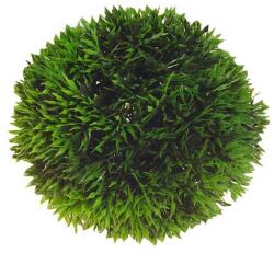 Hobby Aquaristik Műnövény Plant Ball 9cm
