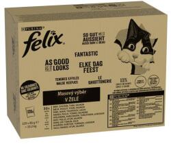 FELIX Fantastic Multipack 120x85g marha, csirke, tonhal, lazac zselében