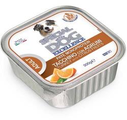 Special Dog FRUITS pate pulyka, rizs és citrusfélék 300g alutálca