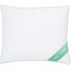 Strefa Spania Párna 50x60 cm antiallergén steppelt Cipzár Lengyel Prémium (5906657117298)