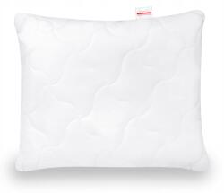 Strefa Spania Párna 50x60 aloe verával magas antiallergén (poduszka aloes)