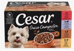 Cesar alutálca 8-pack Válogatás mártásban 8*150g