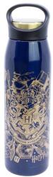 Stor Harry Potter Sticlă termică 665 ml, inoxidabilă (SLST-31006)