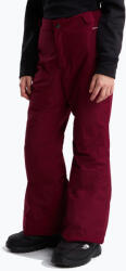 The North Face Pantaloni de schi pentru copii The North Face Freedom Insulated burgundy crush