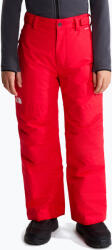 The North Face Pantaloni de schi pentru copii The North Face Freedom Insulated elevation red