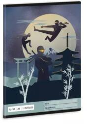 Ars Una Ninjas în întuneric: Caiet dictando - clasa a 3-a, A5 (53604576)