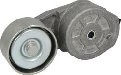 DAYCO APV2641 - Intinzator curea, curea distributie - DAYCO-APV2641 (DAYCOAPV2641)