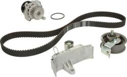 INA 530 0067 30 - Set pompa apa + curea dintata - Kit distributie cu pompa de apa - AUDI A3. A4 B5. A6 C5. TT. SEAT ALHAMBRA. CORDOBA. IBIZA II. LEON. TOLED O II. - INA-530 0067 30 (INA530006730)