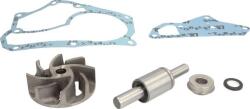 OMP 412.001 - Set Reparatie Pompa Apa - Omp - Omp-412.001 (omp412001)