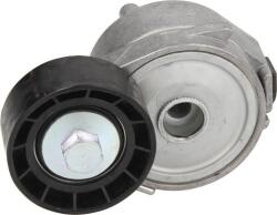 DAYCO APV2556 - Intinzator curea, curea distributie - INTINZATOR CUREA. CUREA DISTRIBUTIE - compatibil Citroen. Peugeot - DAYCO-APV2556 (DAYCOAPV2556)