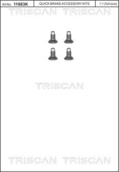 Triscan 8105 116004 - Set surub, disc frana - SURUB DISC FRANA - compatibil Renault. Mercedes-Benz. Dacia. Smart - Triscan-8105 116004 (TRISCAN8105116004)