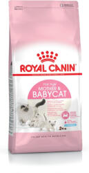 Royal Canin Száraztáp vemhes és szoptatós cicáknak, valamint növendék kiscicáknak Royal Canin csirke 400 g (NRCK500)