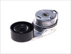 SKF VKM 31066 - Intinzator curea, curea distributie - Intinzator curea distributie VW LT 28 - 35 II. LT 28 - 46 II 2.8D 05.01 - 07.06 - SKF-VKM 31066 (SKFVKM31066)