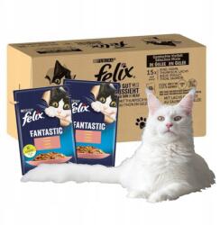 FELIX Fantastic Fish eledel 120x85g (3225969042)