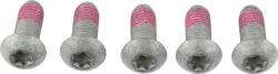 TRW MSS155-5 - Set surub, disc frana - SET SURUBURI FIXARE DISC FRANA - compatibil Bmw - TRW-MSS155-5 (TRWMSS1555)