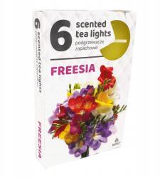 ADMIT Teamécsesek illatos frézia 6 db (255)