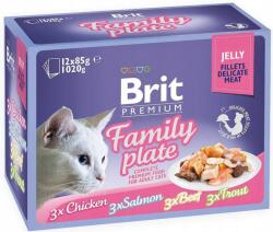 Brit Premium Cat Jelly Fillets Filé zselében macskáknak Mix 12x85g (KBRI125_PAK2)