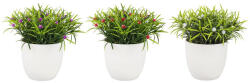 Bizzotto Set 3 plante artificiale 9.7x16 cm (20563)