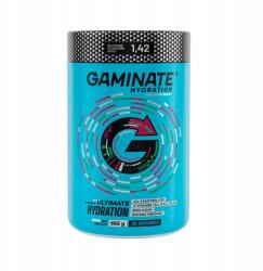 Gaminate Izotóniás Gaminate Hydro Pack Sour Cherry Watermelon 5905137255437 (5905137255437)