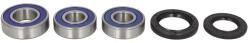 ALL BALLS Kit rulmenti roata ALL BALLS AB25-1386 (AB25-1386)