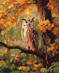 Figured Art Set pictura pe numere, cu sasiu, Bufnita printre frunze ruginii, 40x50 cm (FA10786-Y)