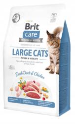 Brit Care Cat Grain-Free Large Cats Power & Vitality 400g - Gabonamentes (8595602540921)