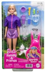 Mattel Barbie Malibu játékbaba Kalandok a természetben kiegészítők Kutyás szett (JJV59)