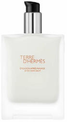 Hermès Terre D'hermes After Shave Balm 100ml