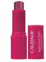 Caudalie Tinted Lip Balm 4.5g