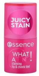 Essence Cosmetics What A Tint! Vopsea de Buze și Obraji 10-Raspberry Vibes 5g
