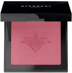 Stendhal Illuminating Blush 303 Rose Marrakech 5.5g