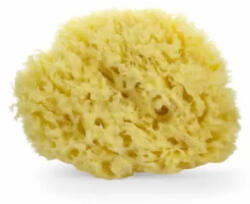 LUA & LEE Sponge 1 Unit