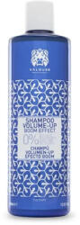 VALQUER Shampoo Volume-Up Boom Effect 400ml