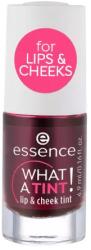 Essence Cosmetics What A Tint! Vopsea pentru Buze și Obraji 01-Kiss From A Rose 4 9ml