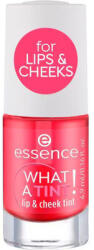 Essence Cosmetics What A Tint! Vopsea pentru Buze și Obraji 02-Coral Sunset 4 9ml