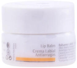 Dr. Hauschka Dr Hauschka Lip Balm Anti-wrinkle 4.5 ml