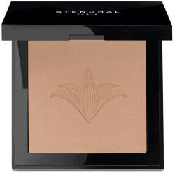 Stendhal Perfecting Compact Powder 120 Sable 9g