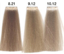 Carin Haircosmetics Color Intensivo vopsea de păr 100 ml 10.12