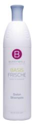 BERRYWELL Care Șampon de salon 1001 ml (11012)